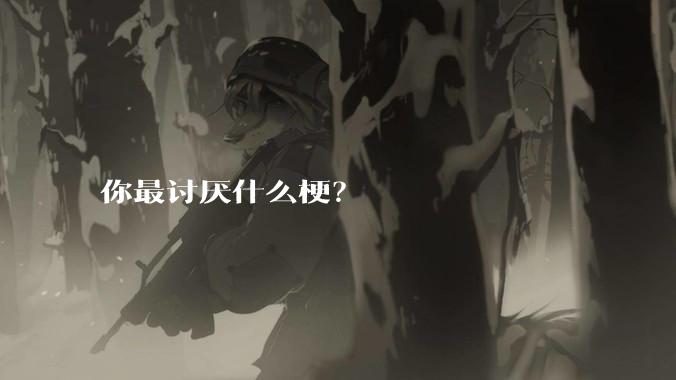 你最讨厌什么梗？