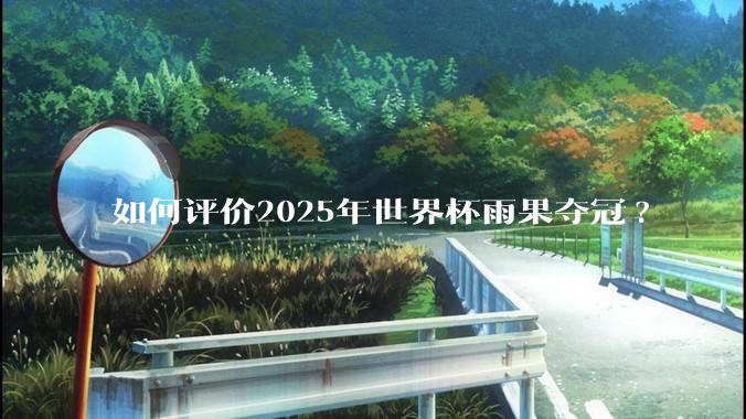 如何评价2025年世界杯雨果夺冠?