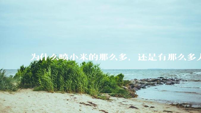 为什么喷小米的那么多，还是有那么多人买呢？
