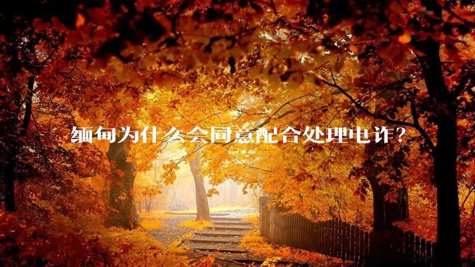 缅甸为什么会同意配合处理电诈？
