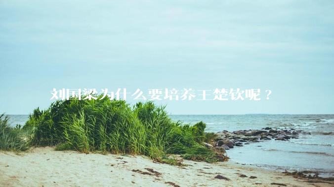 刘国梁为什么要培养王楚钦呢?