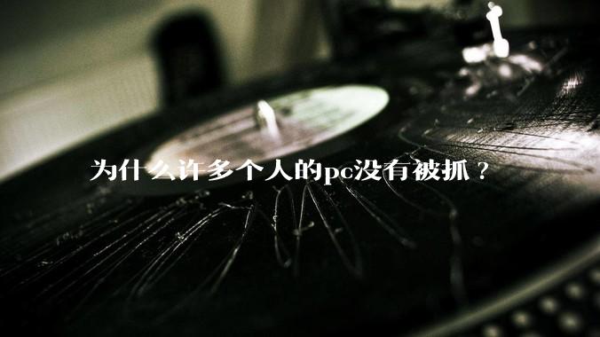 为什么许多个人的pc没有被抓?
