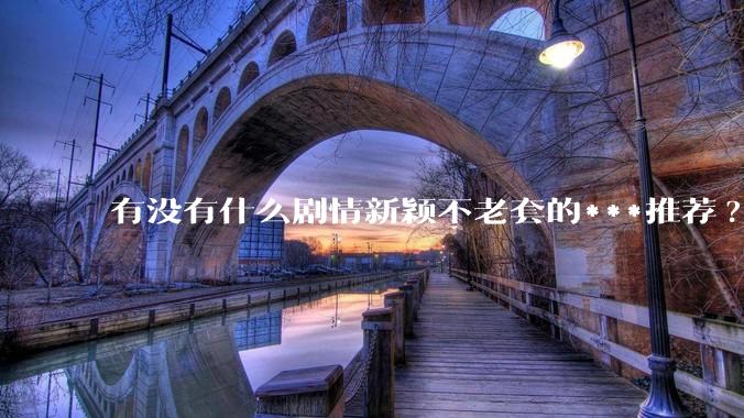 有没有什么剧情新颖不老套的***推荐?