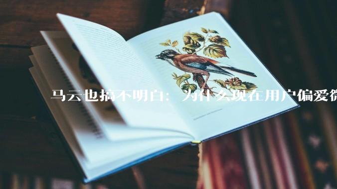 马云也搞不明白：为什么现在用户偏爱微信支付，而不是支付宝？