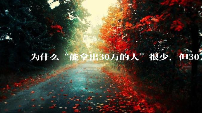 为什么“能拿出30万的人”很少，但30万的车满大街都是？
