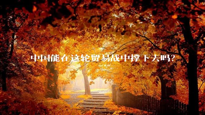中国能在这轮贸易战中撑下去吗？
