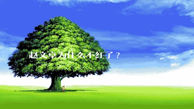 赵文卓为什么不红了?