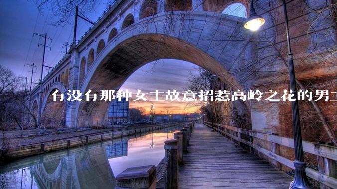 有没有那种女主故意招惹高岭之花的男主，最后男主黑化成病娇的***？