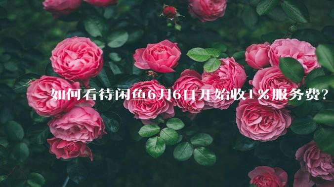如何看待闲鱼6月6日开始收1%服务费？